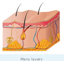 Many layers